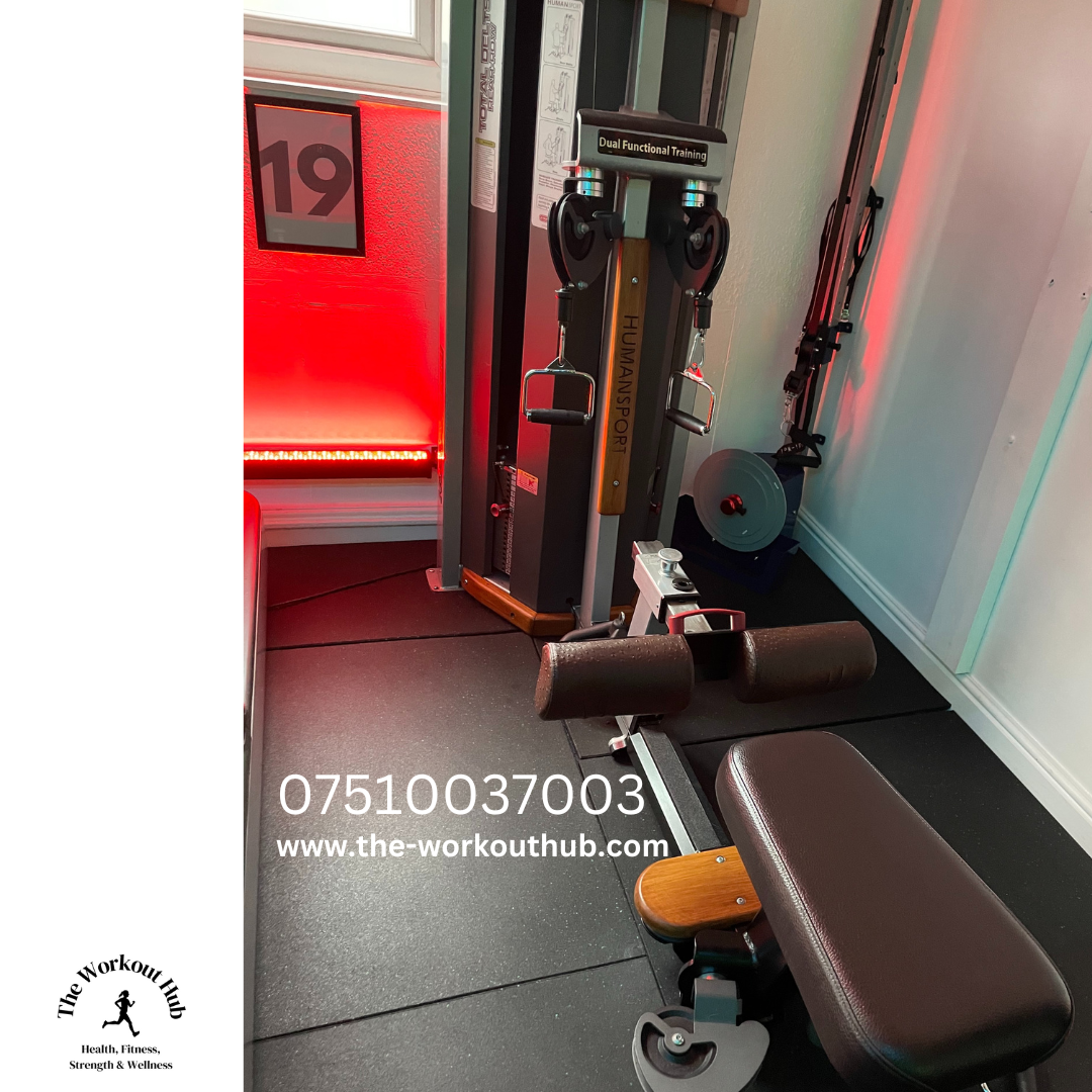 Star Trac Human Sport Total Delt Machine