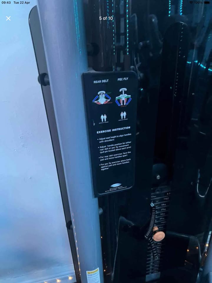 Matrix Fitness Dual Pec Fly Rear Dealt Pin Selection Weight Machine