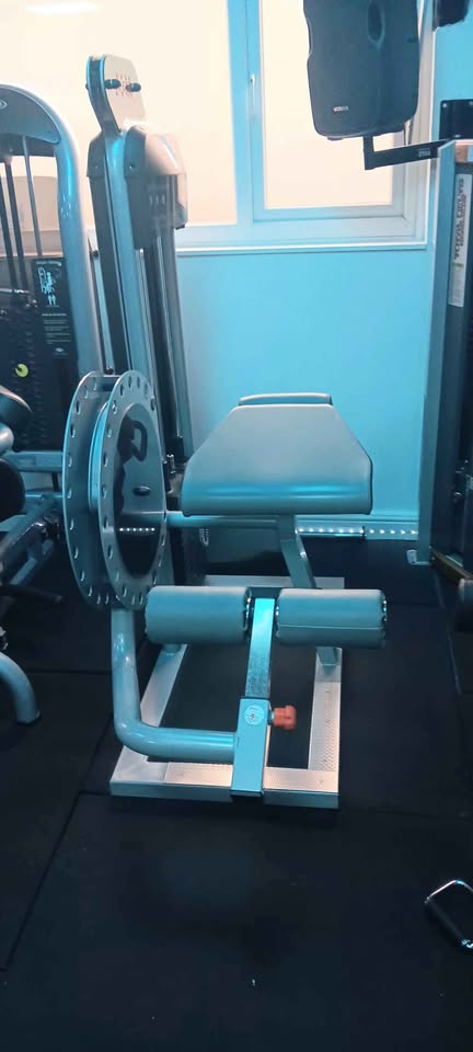 Leg Curl TECA-SP110C – Prestige Range