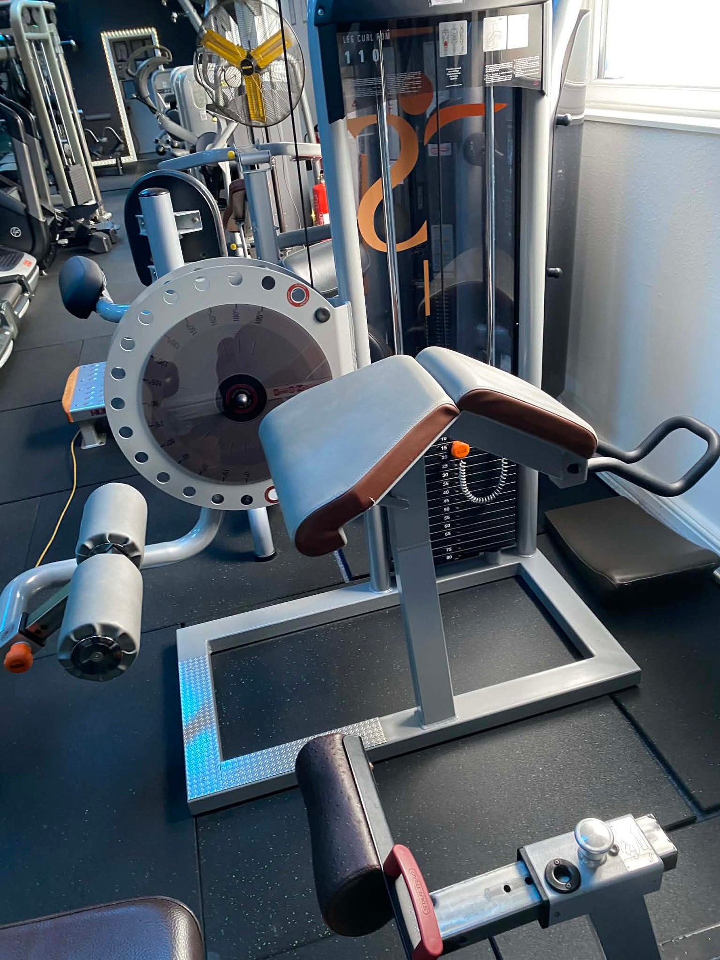 Leg Curl TECA-SP110C – Prestige Range