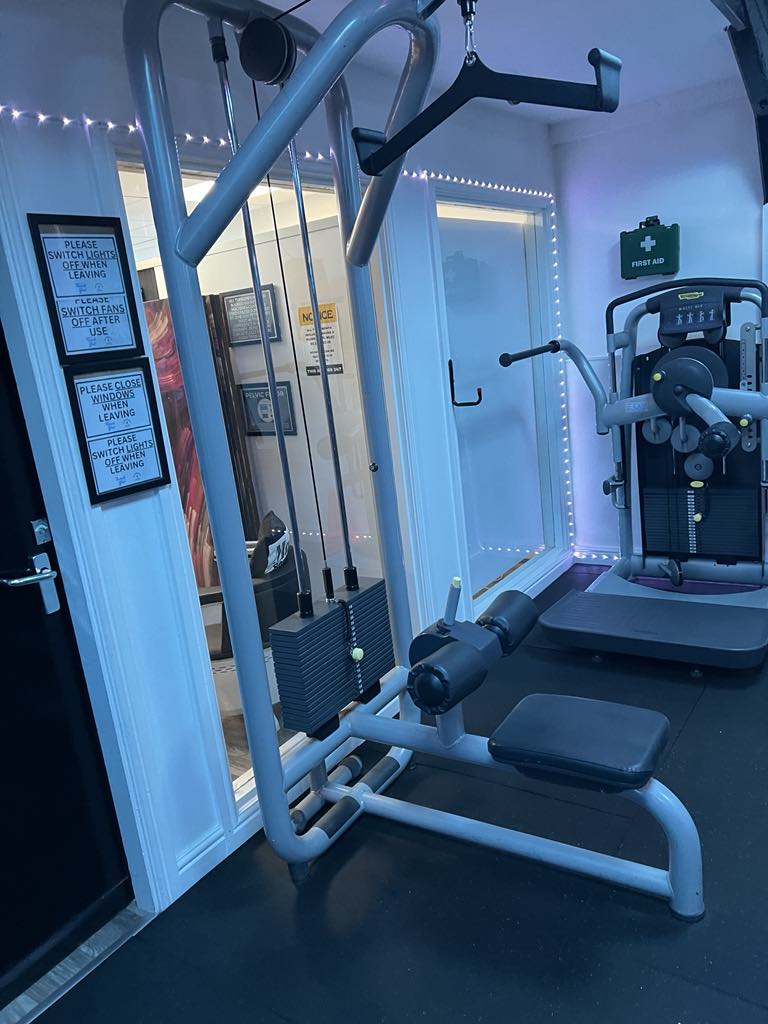 Technogym Pull Down Machine Used