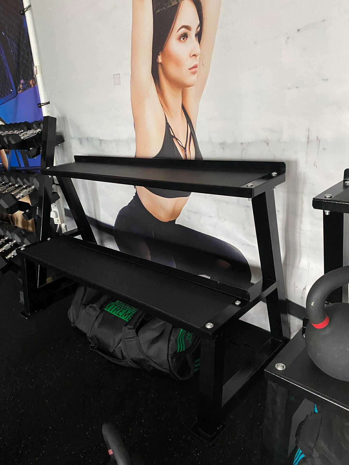 2 Tier Kettlebell Storage Rack with Lining