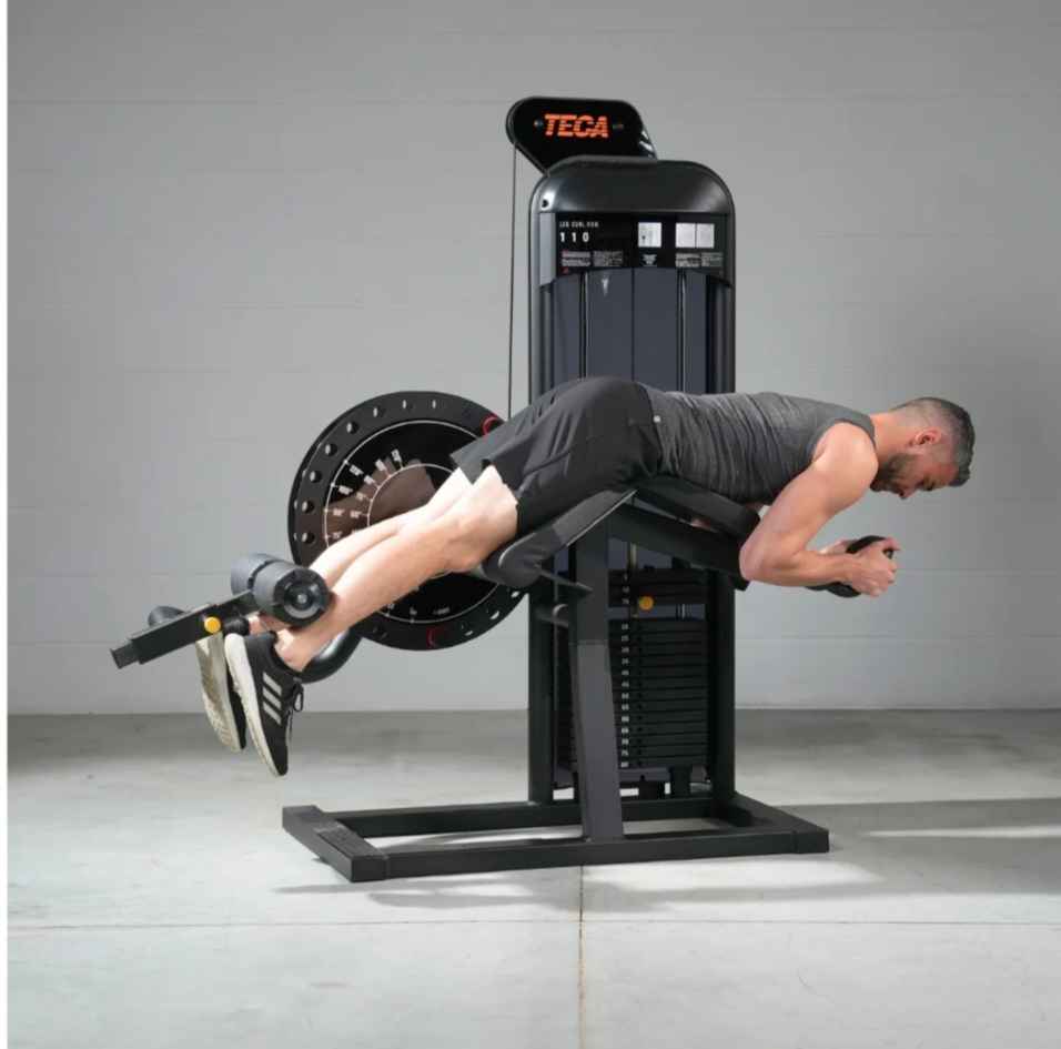 Leg Curl TECA-SP110C – Prestige Range