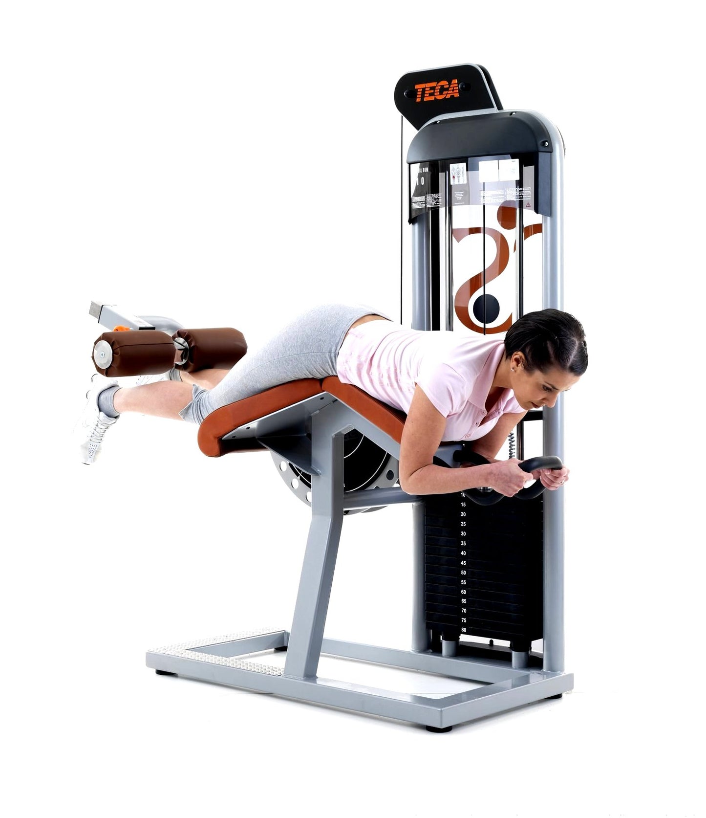 Teca Lying Hamstring Leg Curl Machine