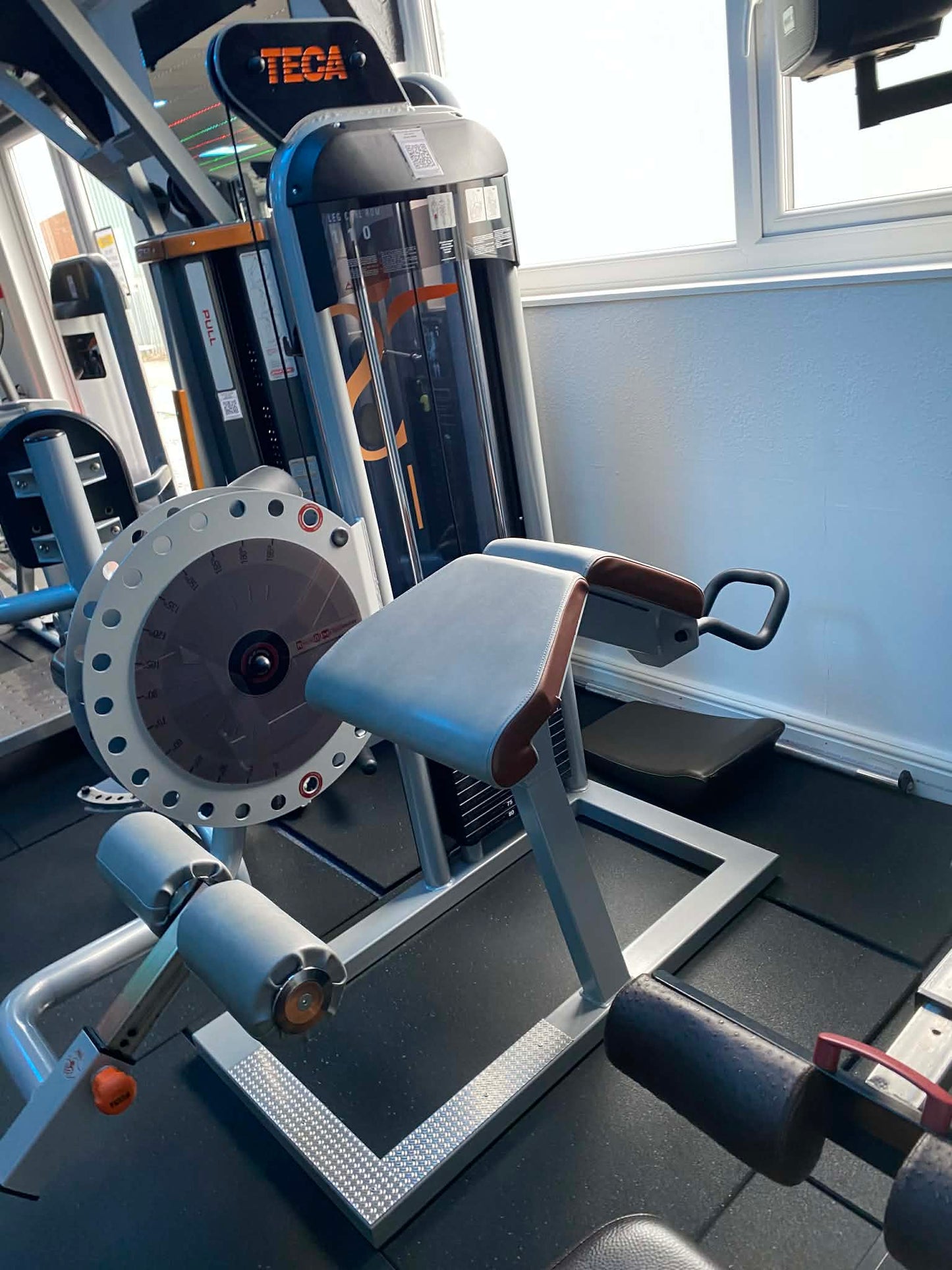 Leg Curl TECA-SP110C – Prestige Range