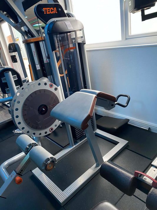 Leg Curl TECA-SP110C – Prestige Range