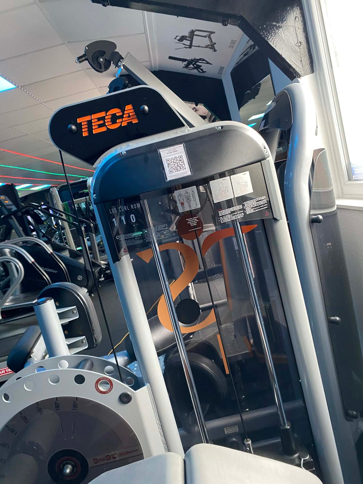 Leg Curl TECA-SP110C – Prestige Range